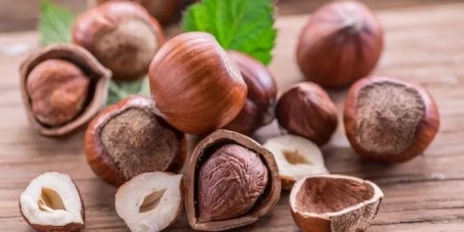 Azerbaijan Eyes Bigger Hazelnut Exports to Bulgaria and EU