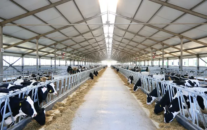 West Kazakhstan Expands Agriculture Through Investment Projects