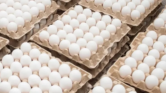 Georgia Boosts Chicken Egg Imports Amid Rising Prices