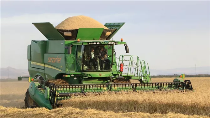 Türkiye Tops Global Rankings in Multiple Agricultural Products