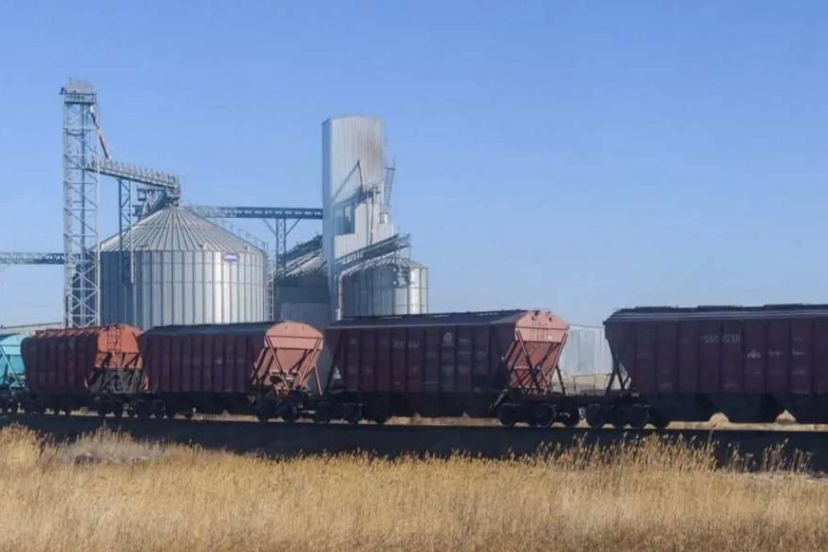 Kazakhstans Grain Exports Surge Amid Growing Demand