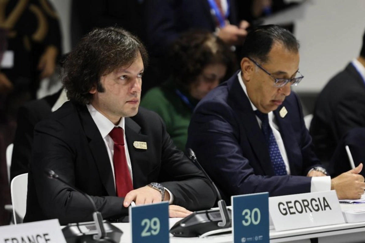 Georgian Premier Warns of Severe Consequences of Climate Change at COP29