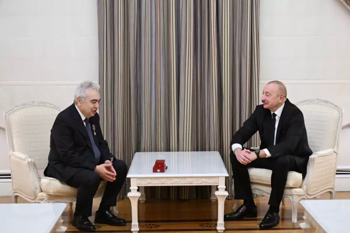 Azerbaijani President Receives Executive Director of International Energy Agency