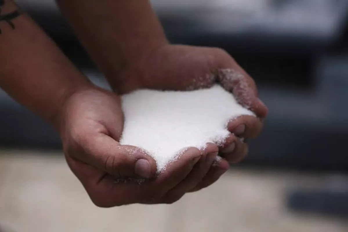 Global Sugar Prices Hit One-Year High: What’s Driving the Rise?