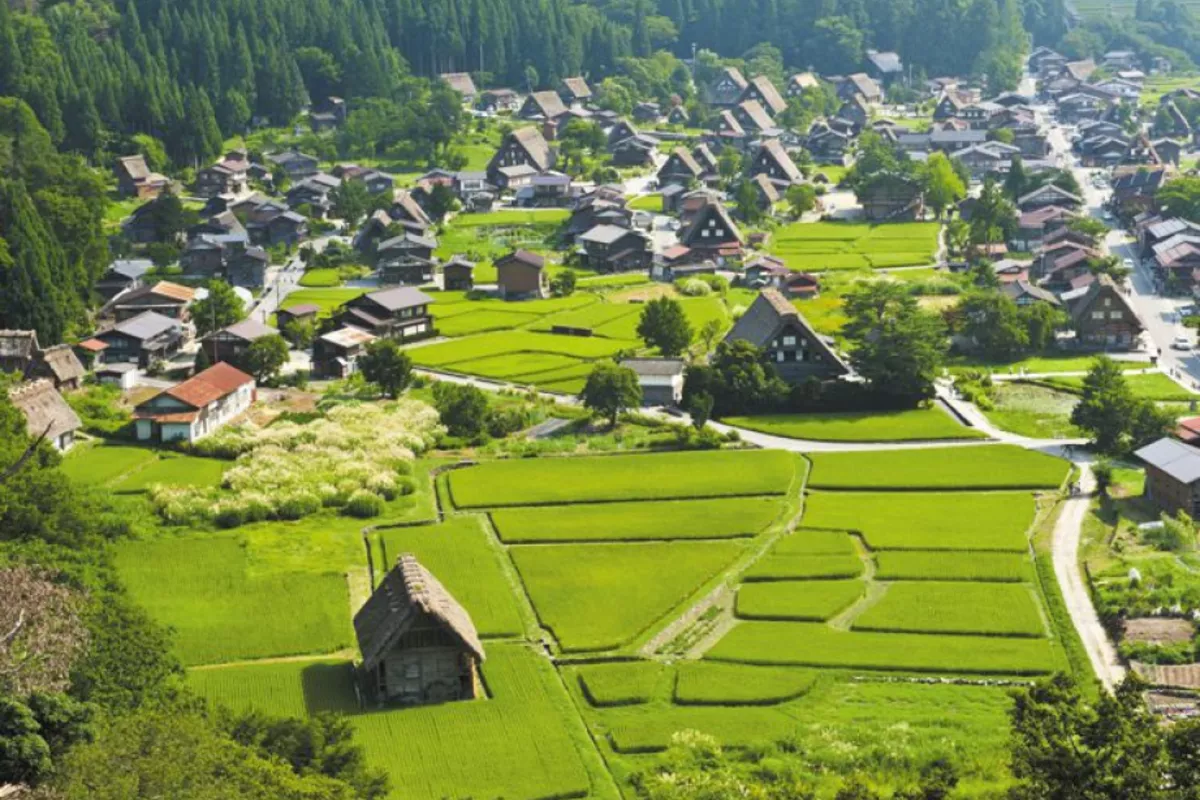 UN Declares July 6 World Rural Development Day to Champion Countryside Progress