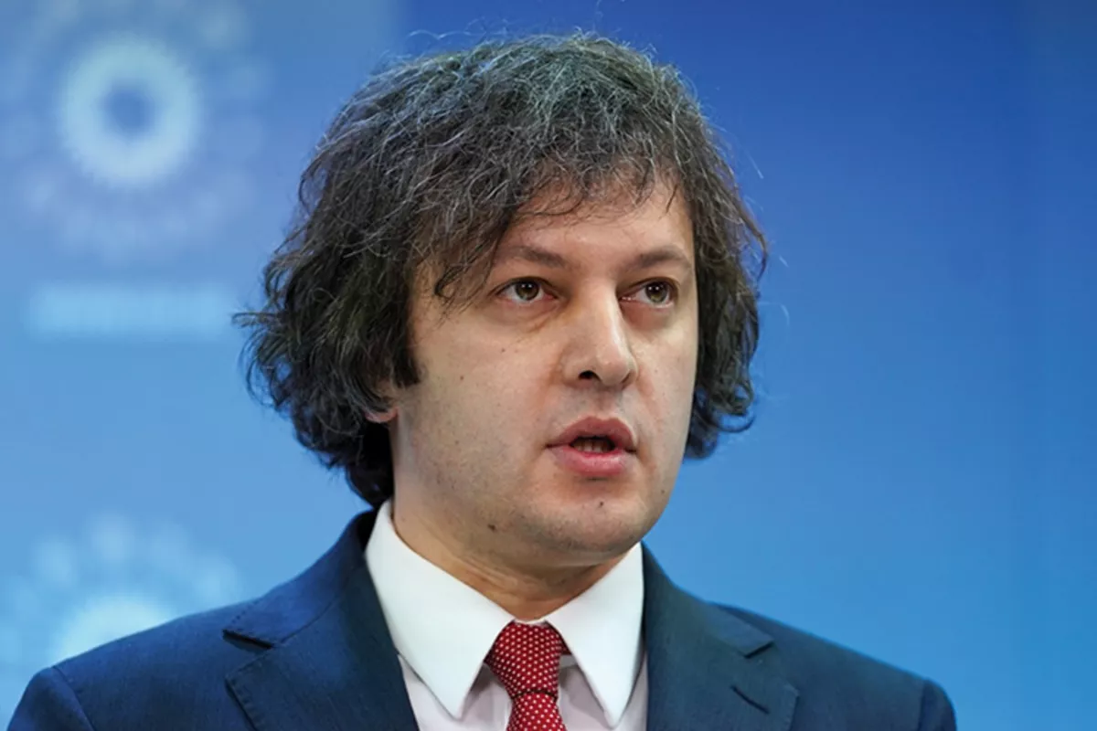 Georgian PM Defends New Protest Laws, Pledges to 'Protect the Majority