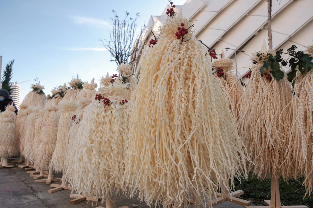 Georgias Unique New Year Tradition: The Environmentally Friendly Christmas Tree