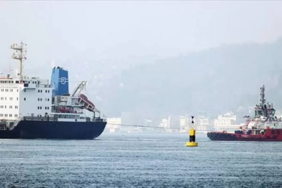 Cargo Ship Runs Aground at Çilingöz Beach in Türkiye's Istanbul