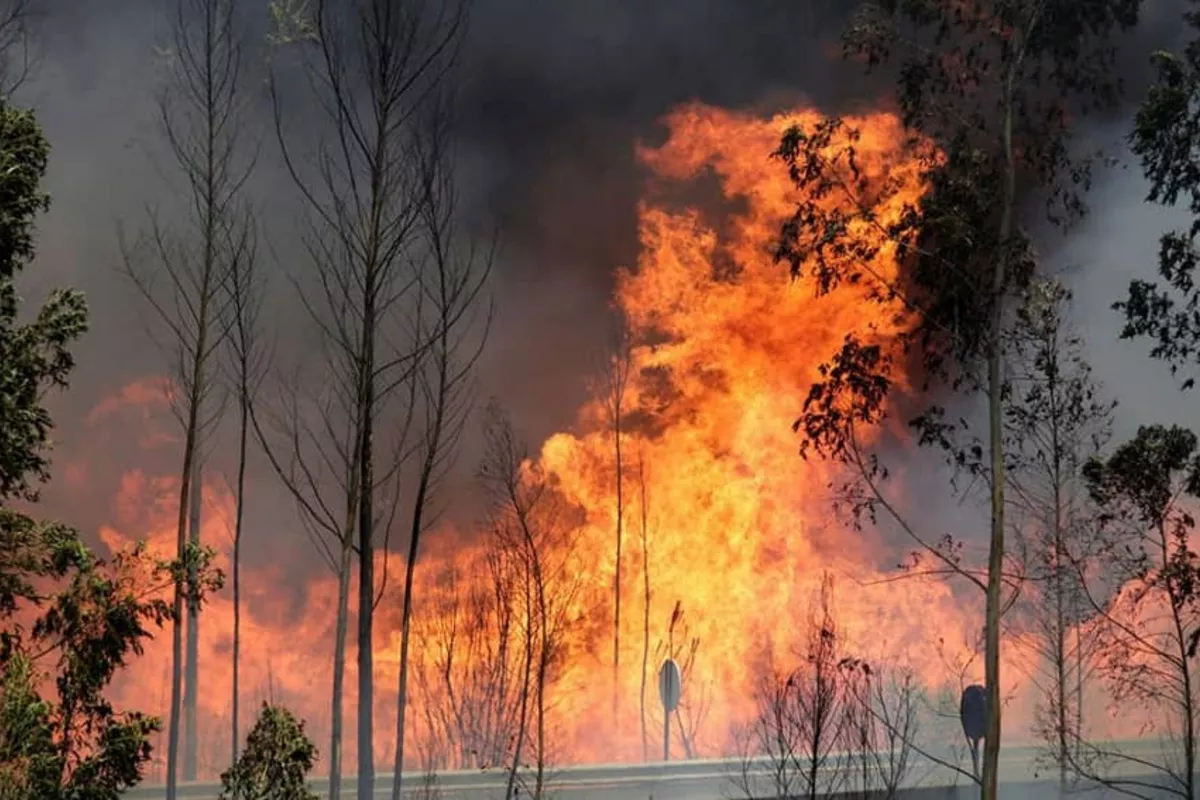 Türkiye Sends Aircraft to Assist in Fighting Wildfires in Iran