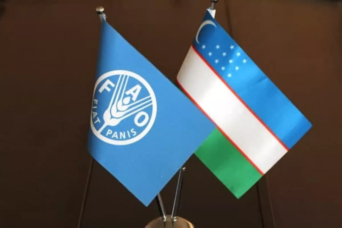 Uzbekistan Joins FAO Council, Marking Milestone in Global Agricultural Leadership