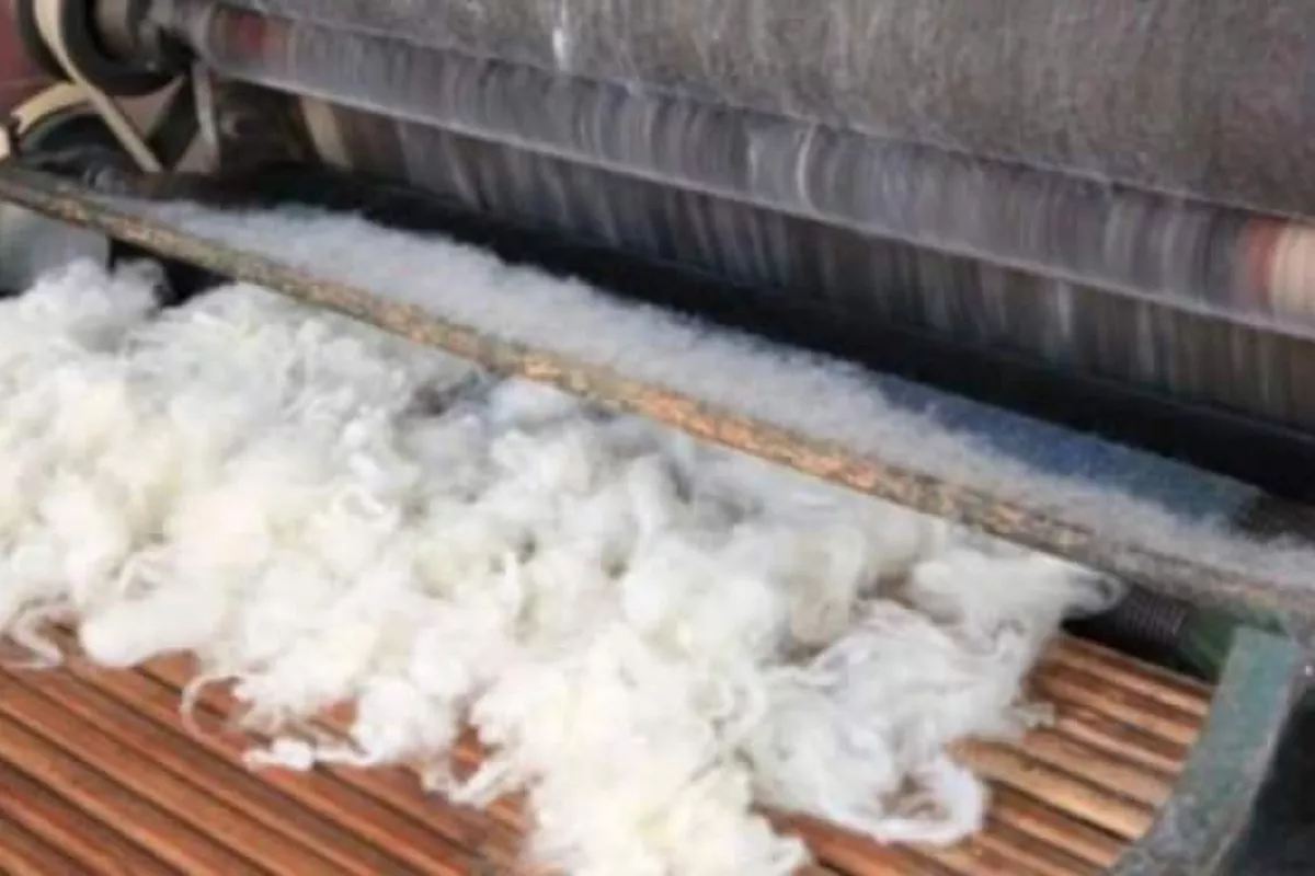 Kyrgyz Agriculture Ministry Announces Joint Textile Project with Mongolia