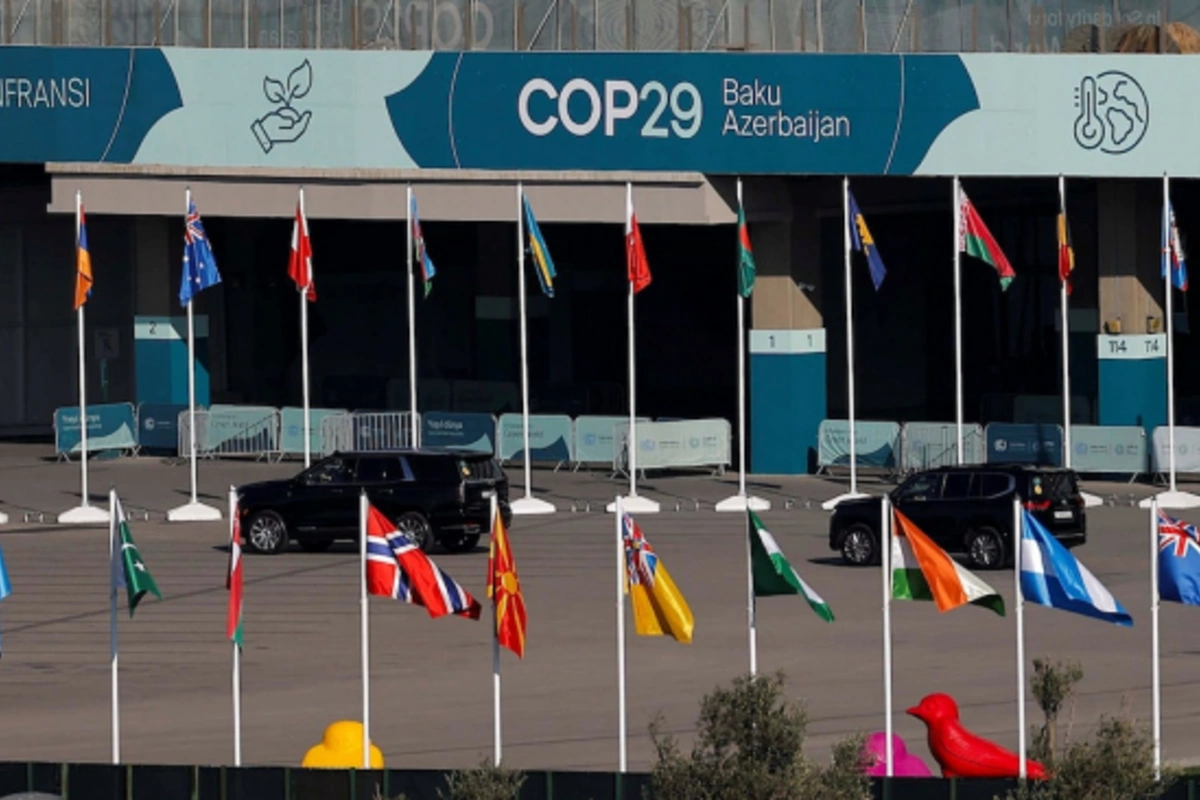 COP29 in Baku: A Landmark Success in Global Diplomacy and Ecological Progress