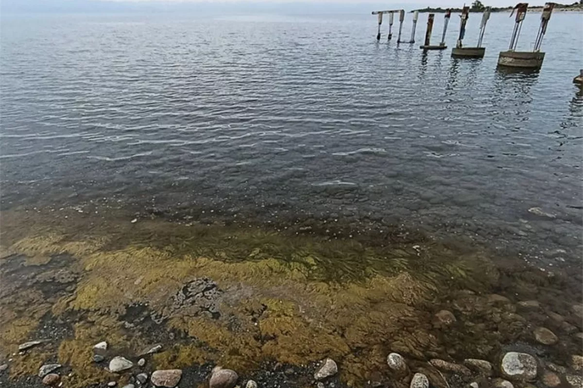 Kyrgyz Scientists Warn Issyk-Kul May Turn Into Polluted Swamp