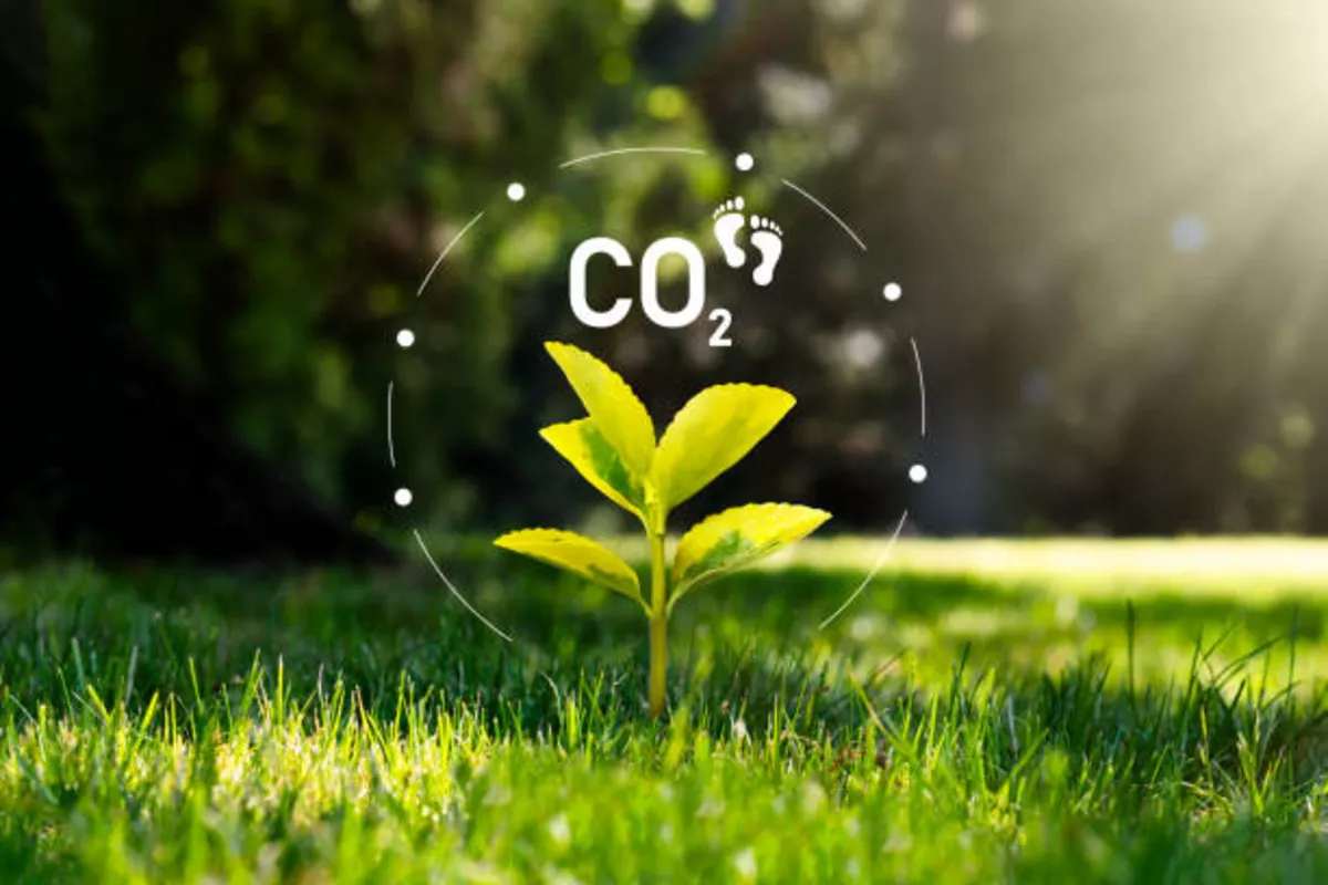 Kyrgyzstan Sets Ambitious Goal to Achieve Carbon Neutrality by 2050