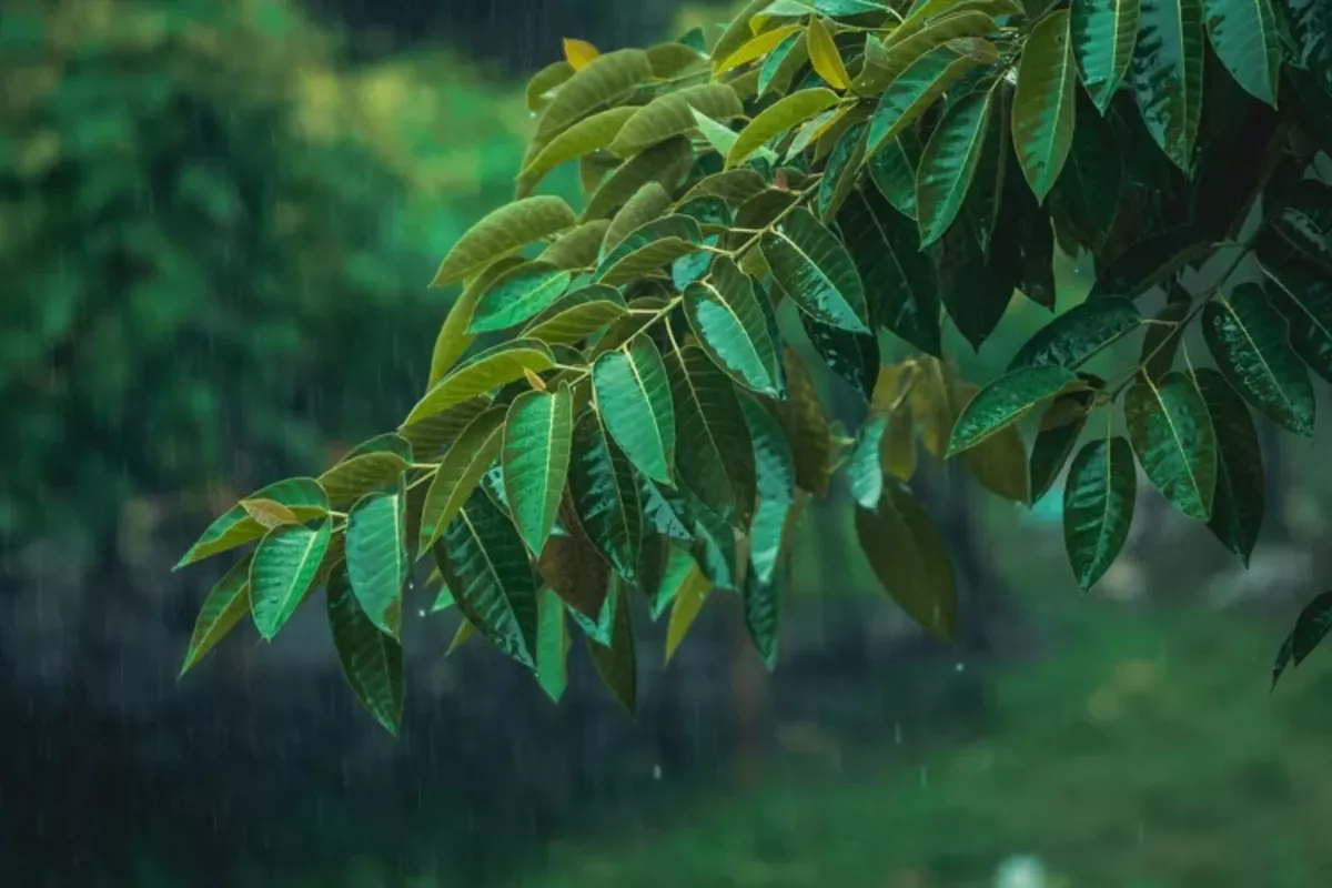 Weekend Weather Turns Severe in Kazakhstan