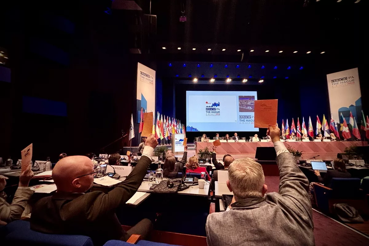 Georgia Boycotts OSCE Vote Over Democracy Criticism