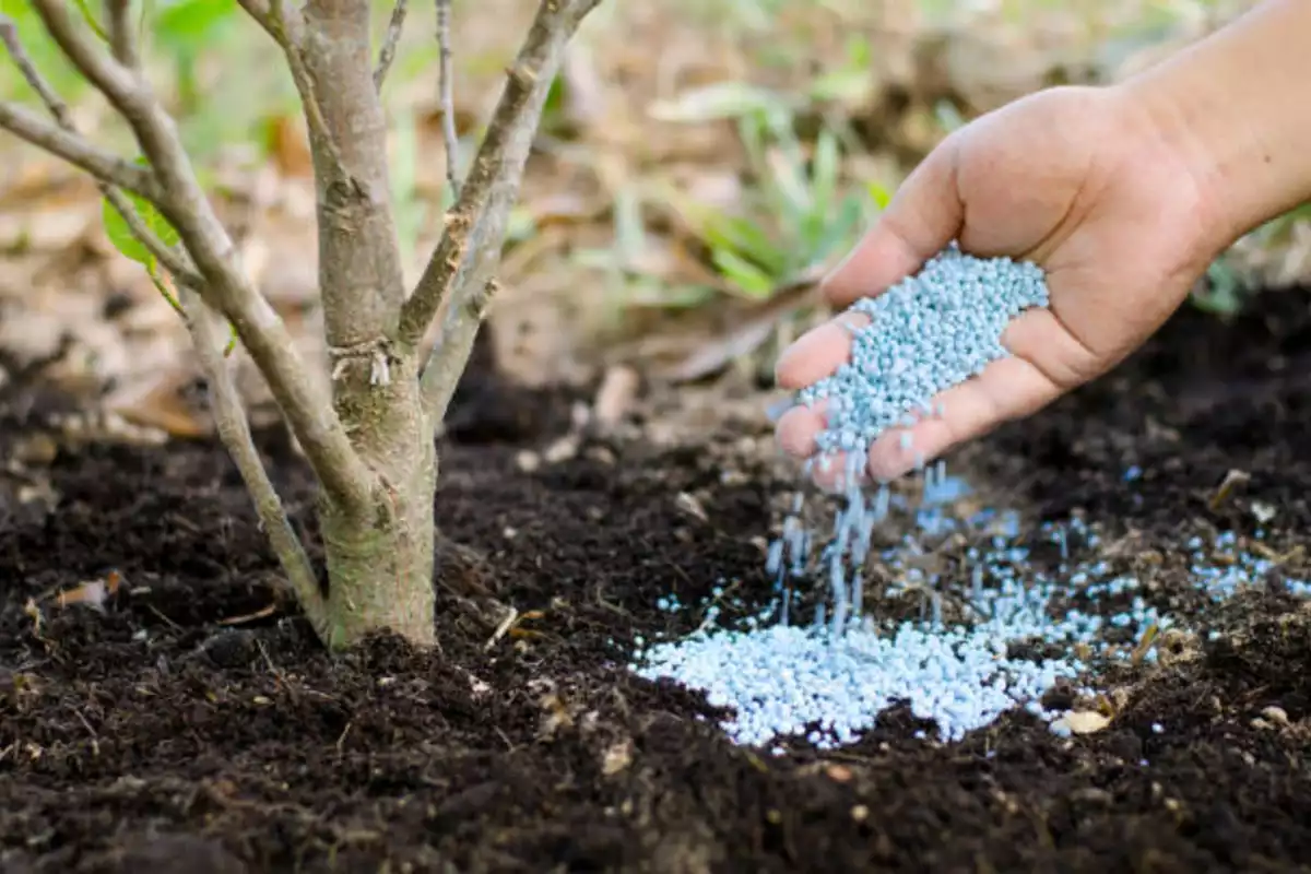 Kyrgyzstan Imposes Temporary Ban on Mineral Fertilizer Exports