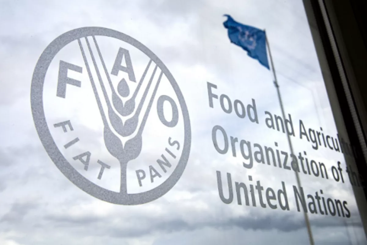 FAO Opens Doors in Kyrgyzstan Following Presidential Approval