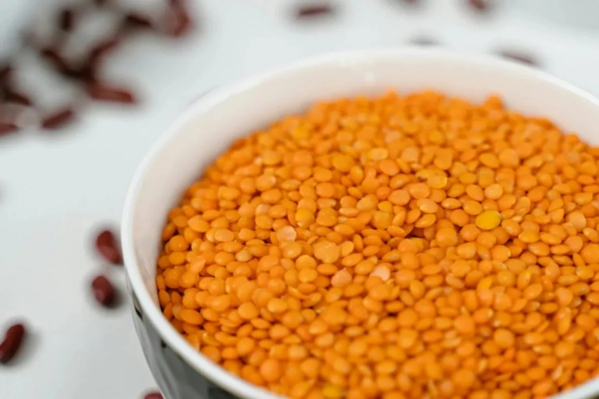 Kazakh Farmers Hit Gold with Record Legume Yields
