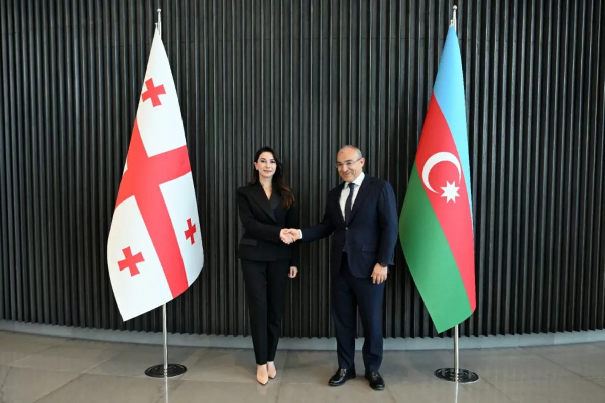 Azerbaijan, Georgia Focus on Key Economic Priorities