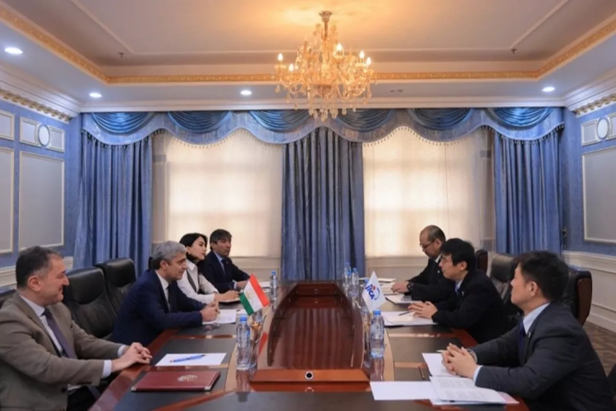 Tajikistan, Japan Boost Development Partnership