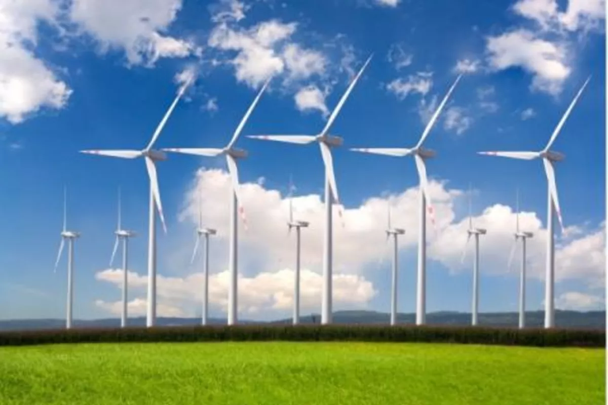 Georgia Powers Up Country’s Biggest Wind Farm