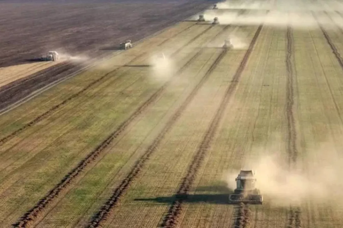 Agriculture Minister: Kazakhstan on Track for Record Oilseed Harvest