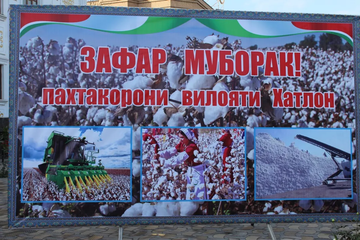 Tajikistan’s Khatlon Region Leads in Cotton Harvest