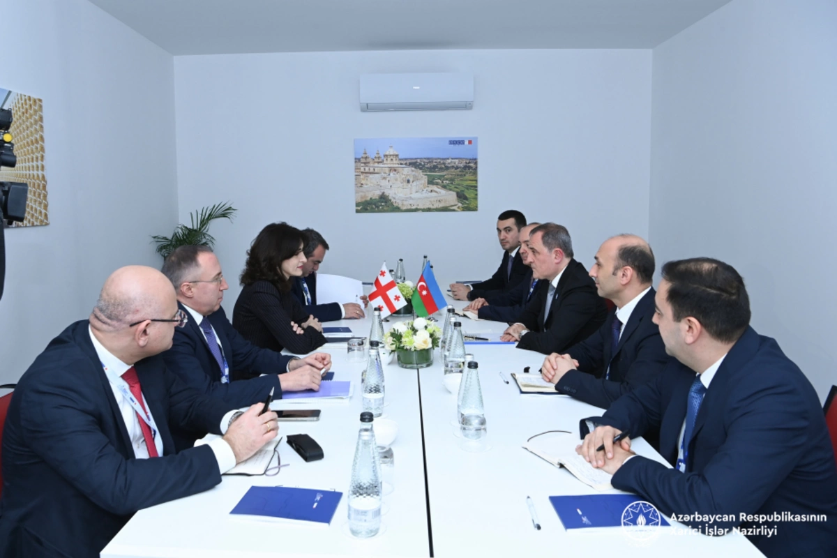 Azerbaijan and Georgia Discuss Regional Security