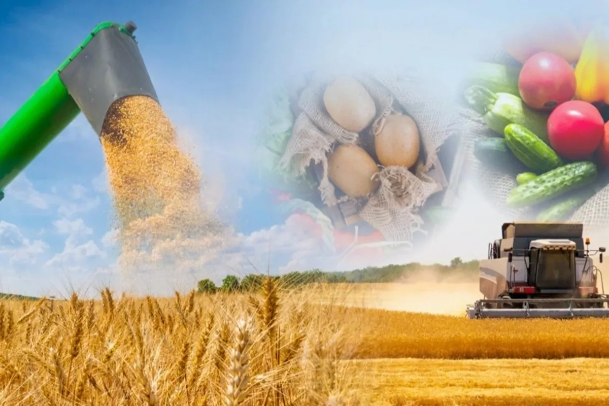 Tokayev Hails Rapid Transformation in Kazakhstan’s Villages