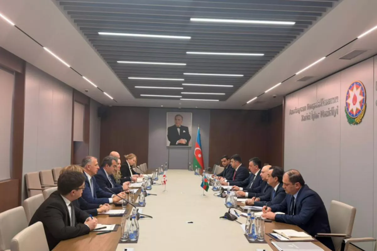 Azerbaijan, Georgia Hold New Round of Political Consultations