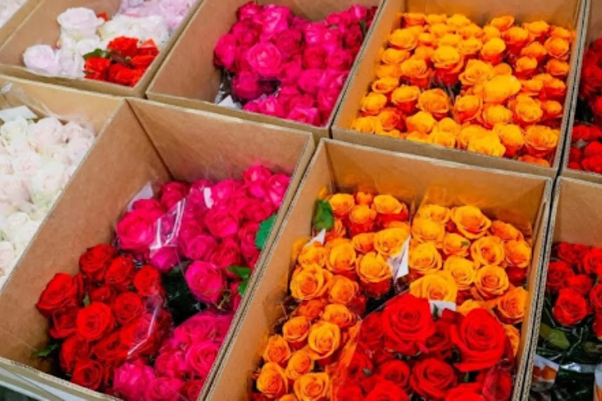 Armenian Flowers Dominate Georgia’s Market with Record-Breaking Imports