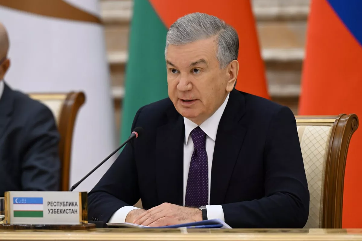 Uzbek President Urges Deeper Economic Cooperation with EAEU