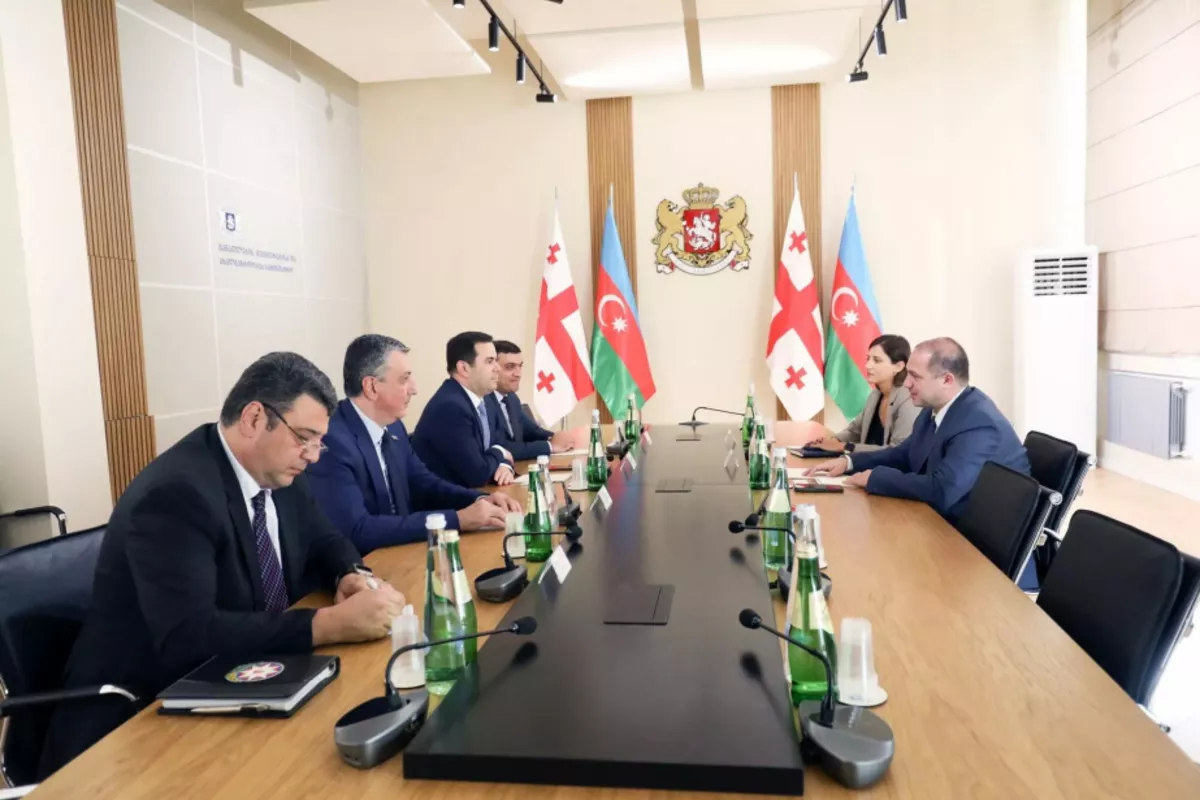 Azerbaijan and Georgia Explore Strengthening Youth Cooperation