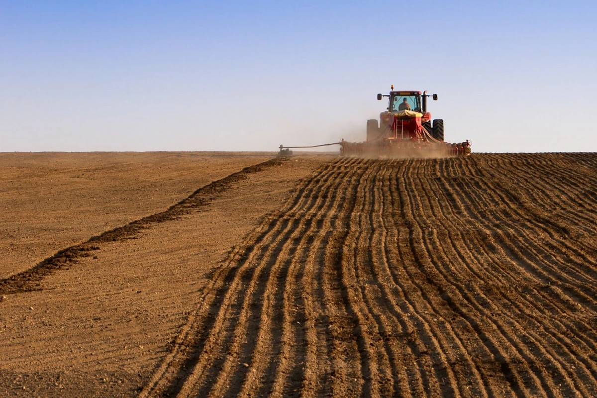 Kazakhstan's Agricultural Output Sees Significant Growth in 2024