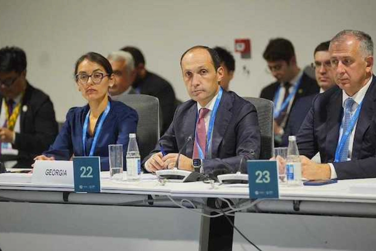 Georgia Highlights Its Focus on Strengthening Middle Corridor at COP29