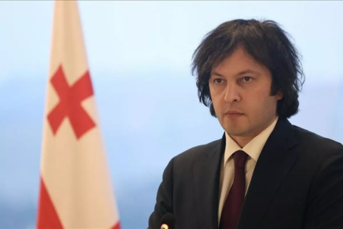 Georgia's PM Claims Foreign-Funded Groups Halted Hydropower Projects
