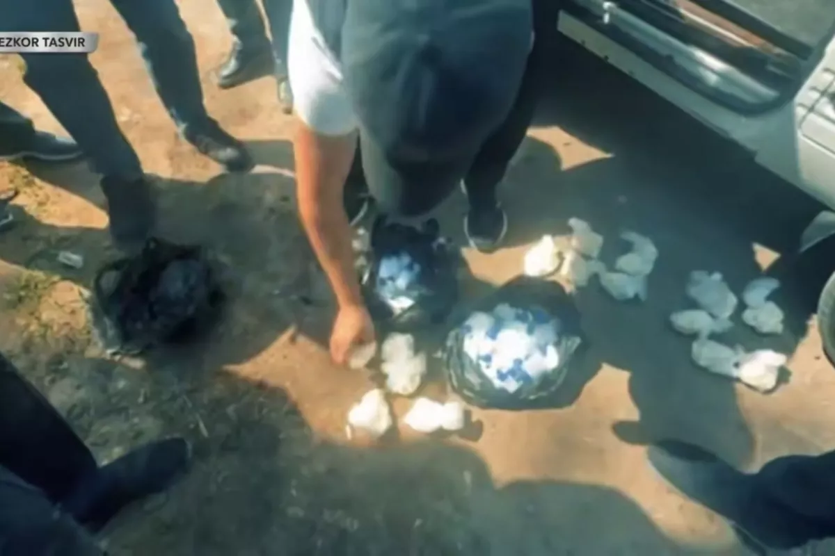 Police Dismantle Crime Network in Uzbekistan