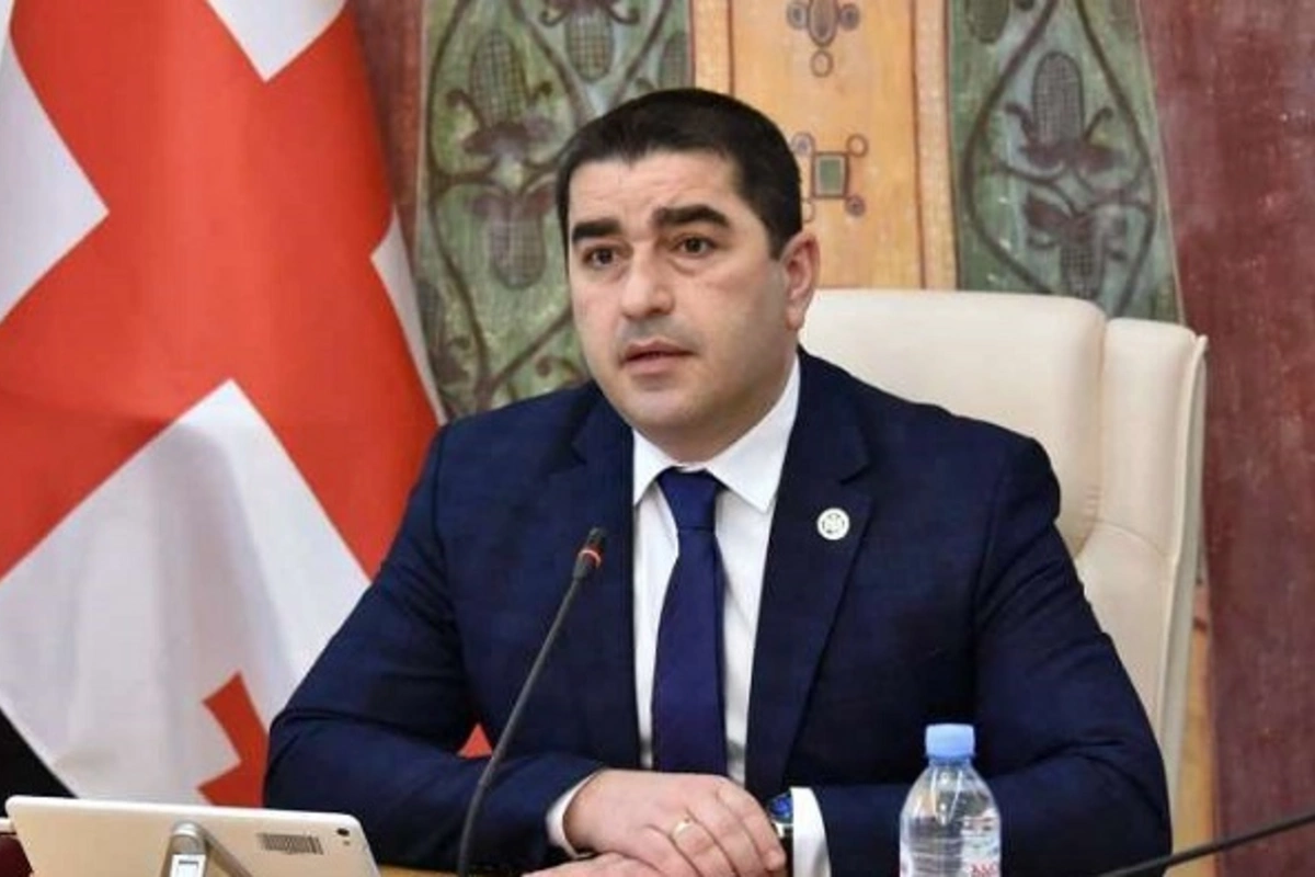 Georgian Parliament Speaker Defends Election Legitimacy, Rejects Opposition Claims