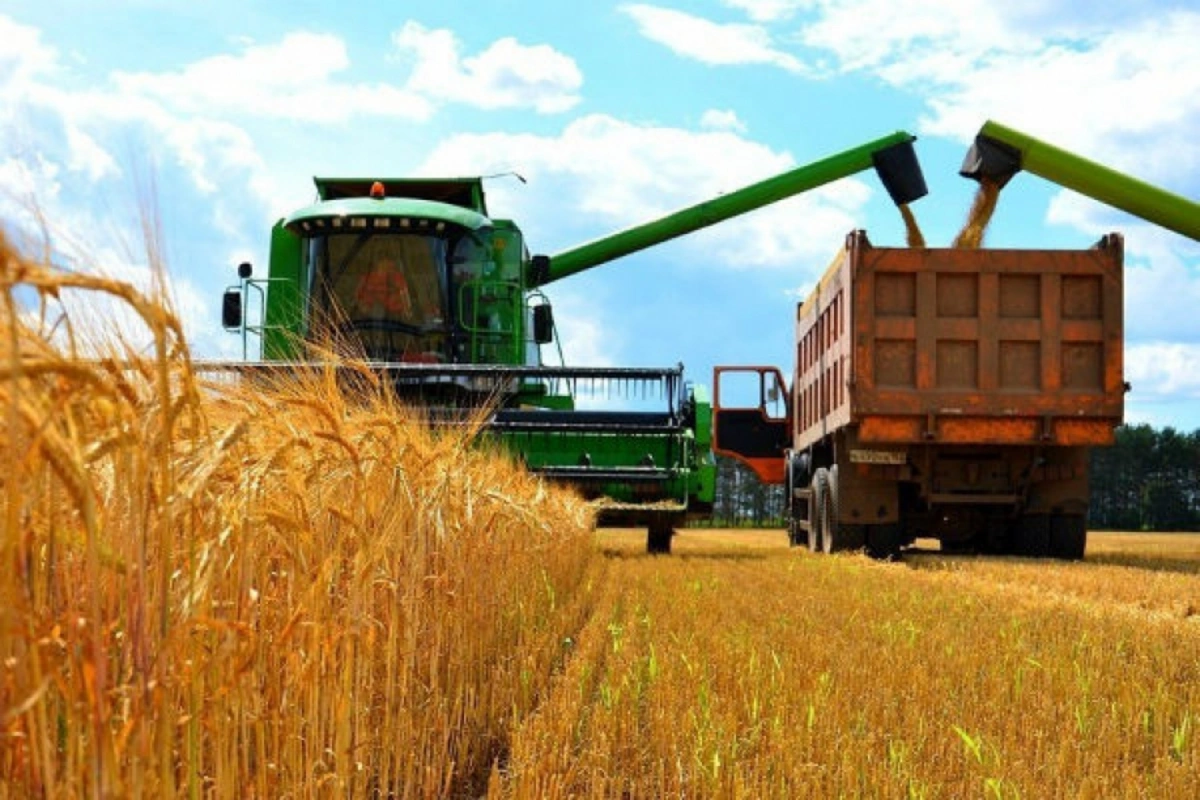 Kazakhstan's Grain Exports Double in 2024