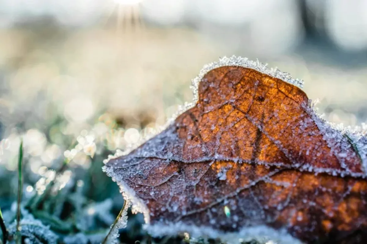 Storm Warnings Blanket Kazakhstan