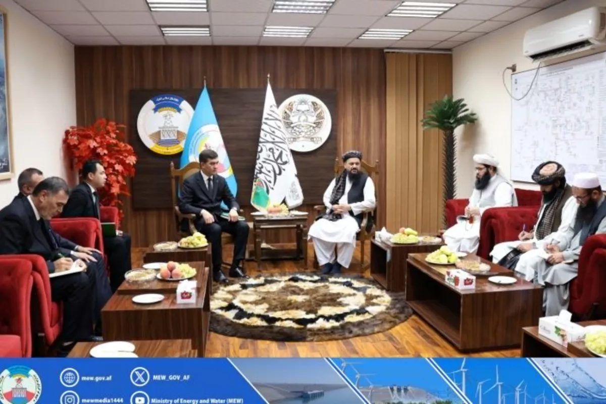Afghanistan, Turkmenistan Strengthen Cooperation in Water and Energy Sectors