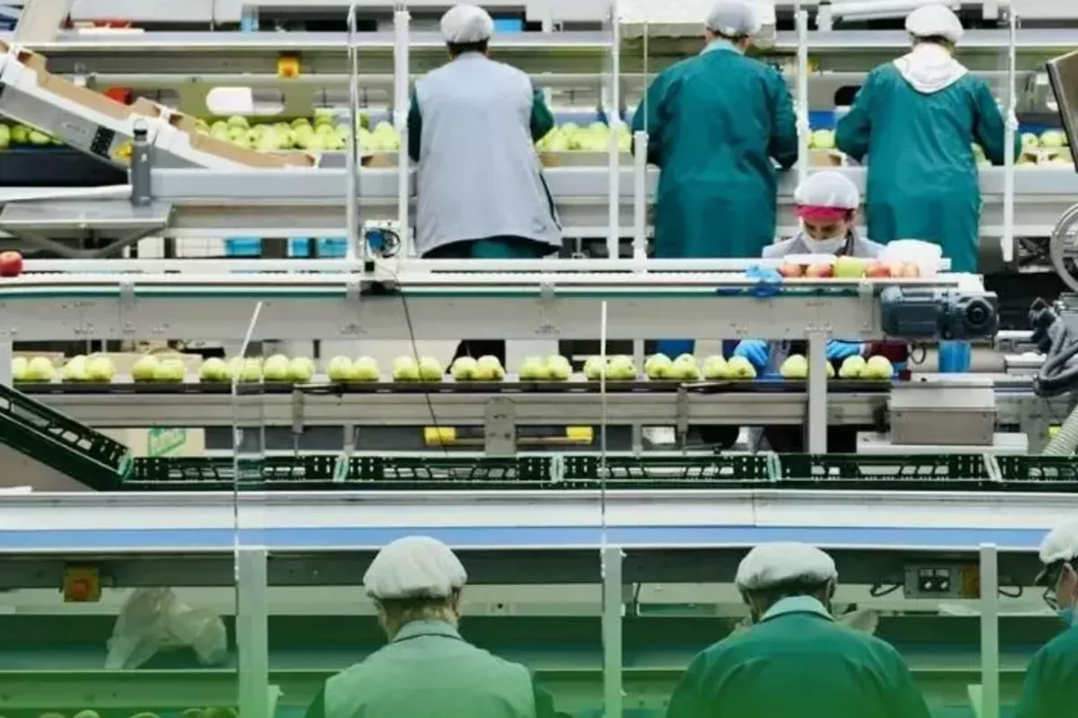 Kyrgyzstan Boosts Agriculture with Over 60 New Facilities