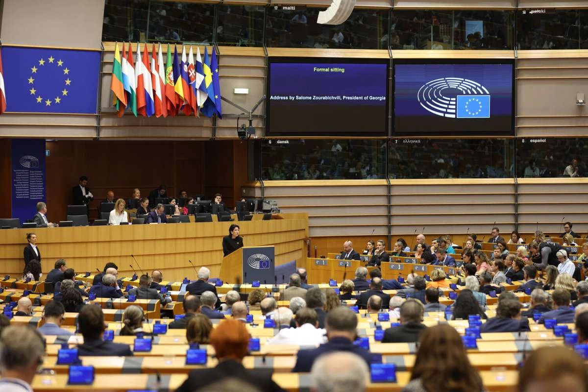 Georgian President on Lone EU Crusade as Frustration with Tbilisis Policies Grows