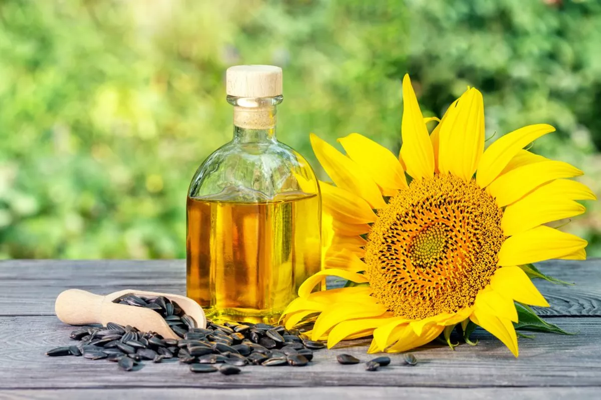 Sunflower Oil Drives Russia’s $230 Million Agro Export Growth to Kyrgyzstan