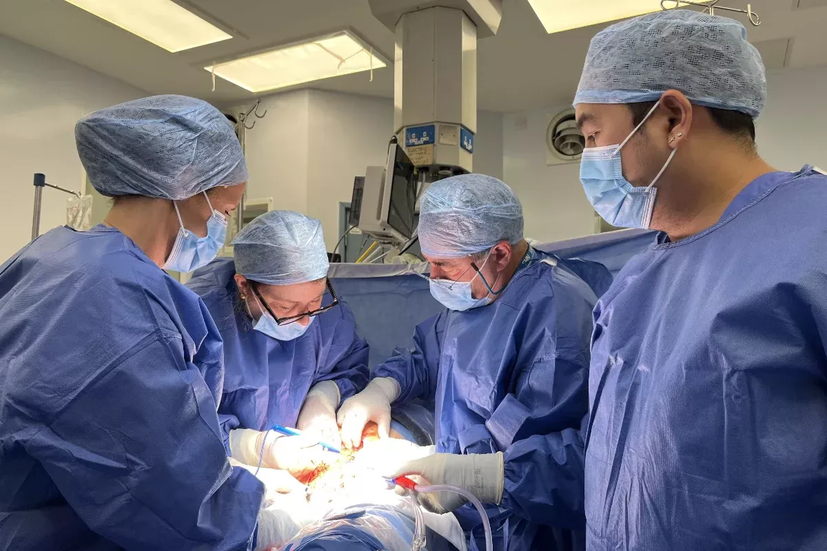 Türkiye Disciplines Nearly 100 Doctors in Crackdown on Unnecessary C-Sections
