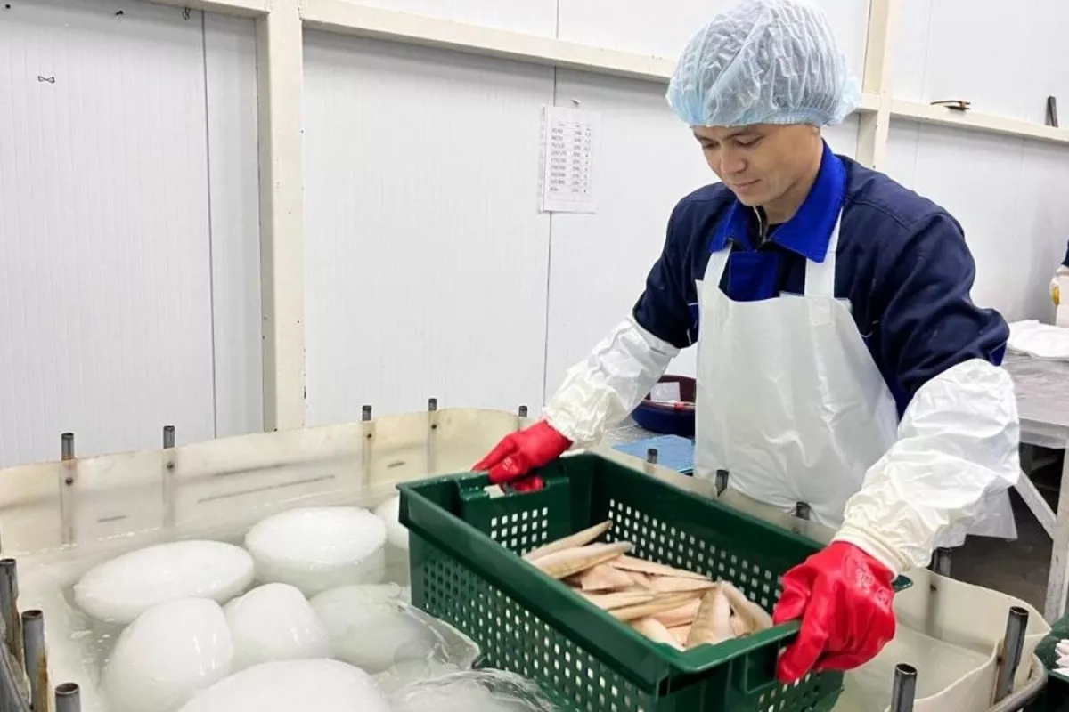 Kazakhstan’s Fishery Sector Drives Growth and Food Security