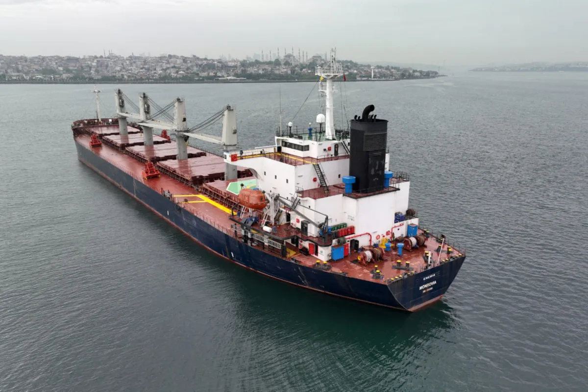 Russia Turns to Arctic Route to Export Grain Amid Black Sea Disruptions