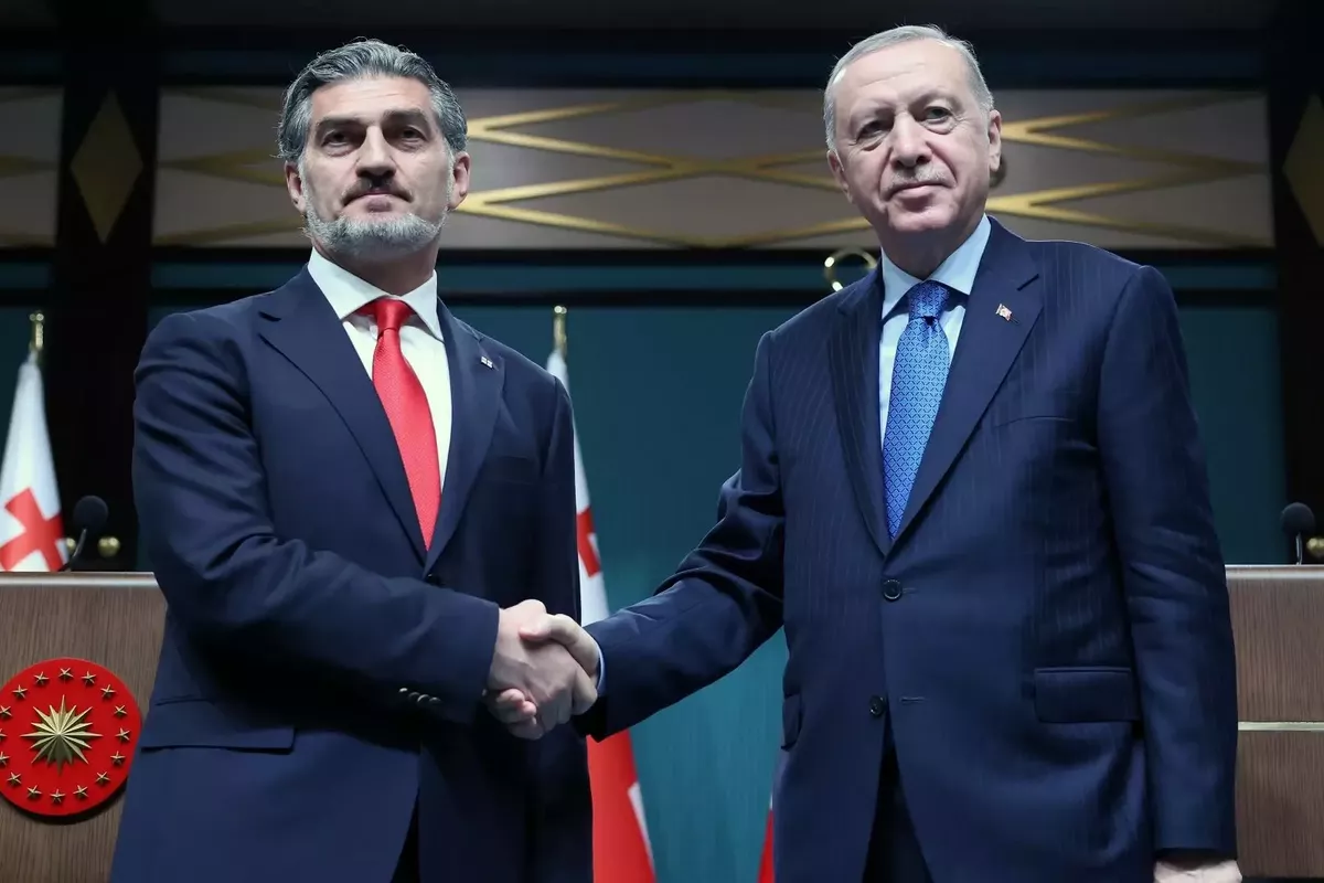 Erdoğan: Türkiye and Georgia to Work 'Shoulder to Shoulder' for Regional Cooperation and Peace