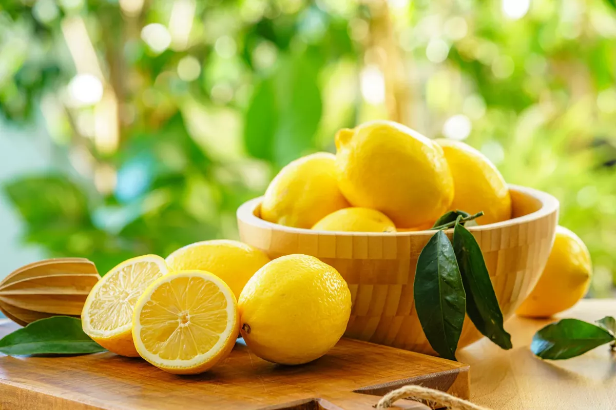 Lemon Exports Rise Sharply in Uzbekistan